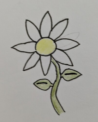 PXL_20260316_194112282.MP~2