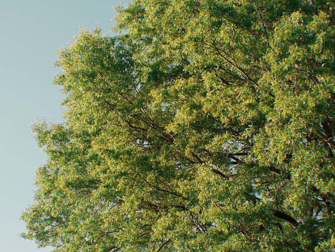 Still 2026-04-21 091710_1.12.1